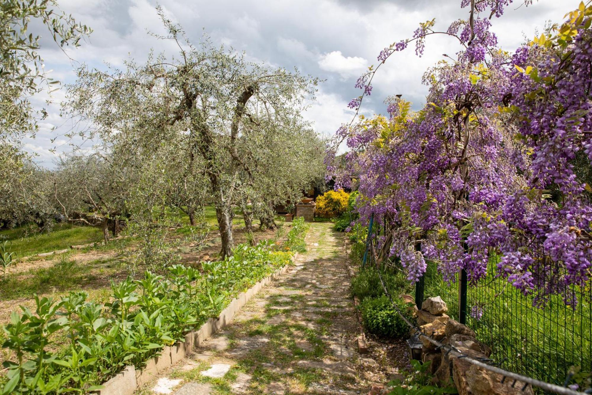 Il Poggio Dell'Eremita Apartment Rigomagno ภายนอก รูปภาพ